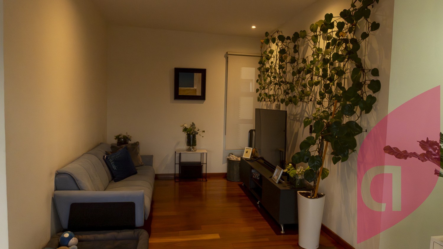 Venta Penthouse con Amenidades y RoofGarden Privado en Coyoacán  - foto 8